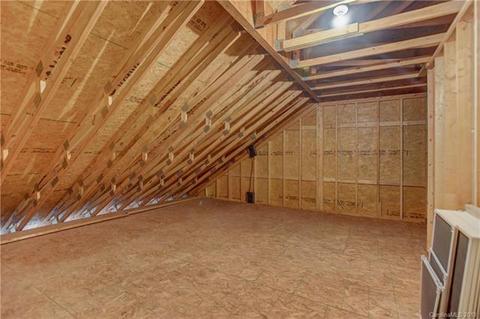 11629 Mount Argus Dr, Cornelius, NC 28031 photo 25