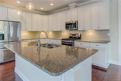 11629 Mount Argus Dr, Cornelius, NC 28031 photo 11