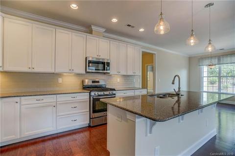 11629 Mount Argus Dr, Cornelius, NC 28031 photo 10