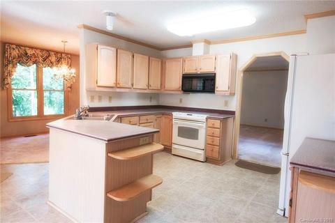 101 Peters Pl, Davidson, NC 28036 photo 5