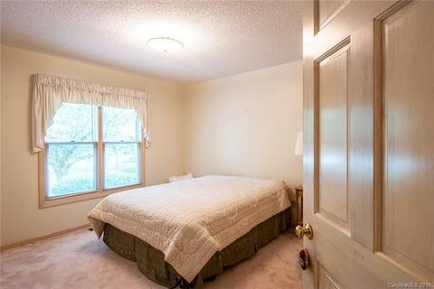 101 Peters Pl, Davidson, NC 28036 photo 13