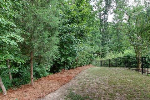 10999 Slate Ter, Davidson, NC 28036 photo 31