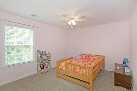 10999 Slate Ter, Davidson, NC 28036 photo 19