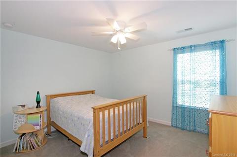 10999 Slate Ter, Davidson, NC 28036 photo 22