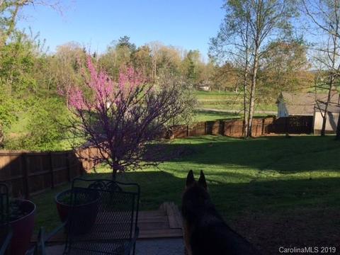 655 Alexander Rd, Alexander, NC 28701 photo 9