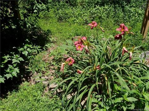 323 Hyacinth Dr, Clyde, NC 28721 photo 28