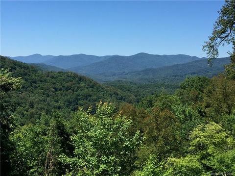 323 Hyacinth Dr, Clyde, NC 28721 photo 16