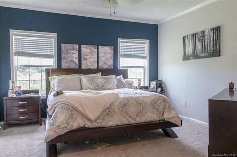 102 Common Ground Dr, Flat Rock, NC 28731 photo 13