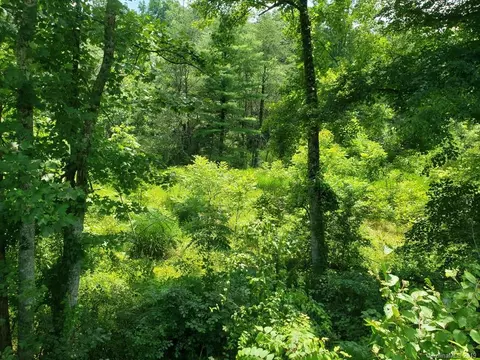 978 Deep Gap Loop Rd, Flat Rock, NC 28731 photo 6