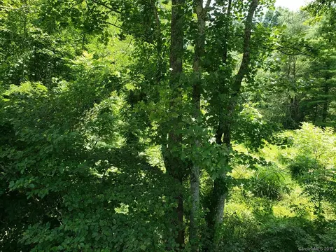 978 Deep Gap Loop Rd, Flat Rock, NC 28731 photo 9