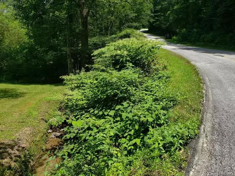 978 Deep Gap Loop Rd, Flat Rock, NC 28731 photo 12
