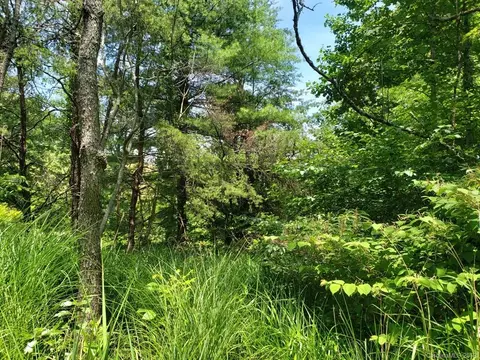 978 Deep Gap Loop Rd, Flat Rock, NC 28731 photo 1