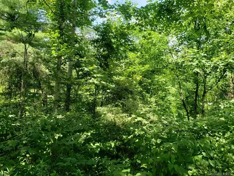 978 Deep Gap Loop Rd, Flat Rock, NC 28731 photo 2