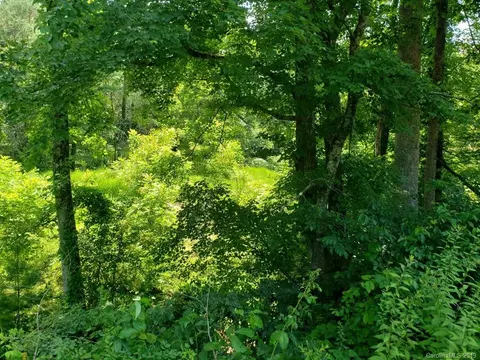 978 Deep Gap Loop Rd, Flat Rock, NC 28731 photo 8