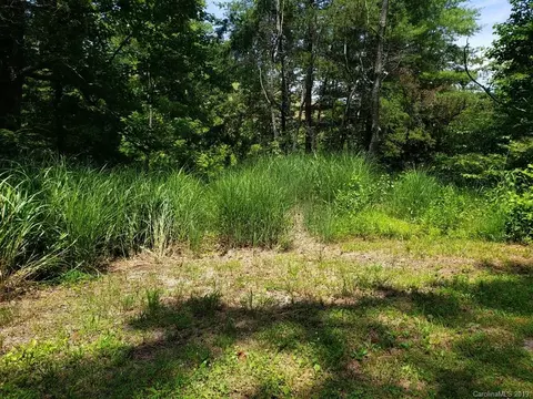 978 Deep Gap Loop Rd, Flat Rock, NC 28731 photo 4