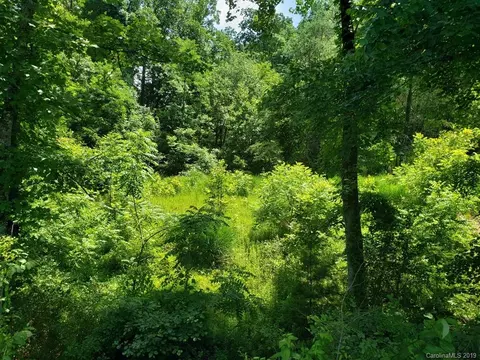 978 Deep Gap Loop Rd, Flat Rock, NC 28731 photo 11