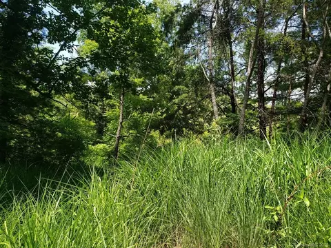978 Deep Gap Loop Rd, Flat Rock, NC 28731 photo 3