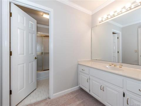 299 S Downs Way, Fort Mill, SC 29708 photo 38