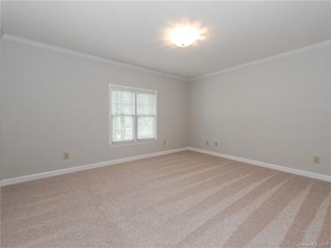 299 S Downs Way, Fort Mill, SC 29708 photo 32