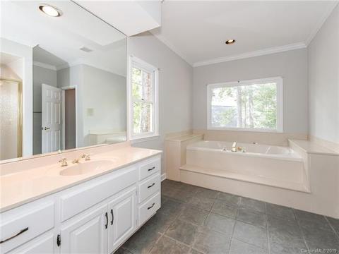299 S Downs Way, Fort Mill, SC 29708 photo 28