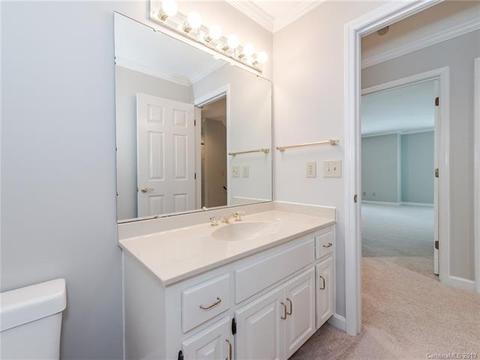 299 S Downs Way, Fort Mill, SC 29708 photo 35