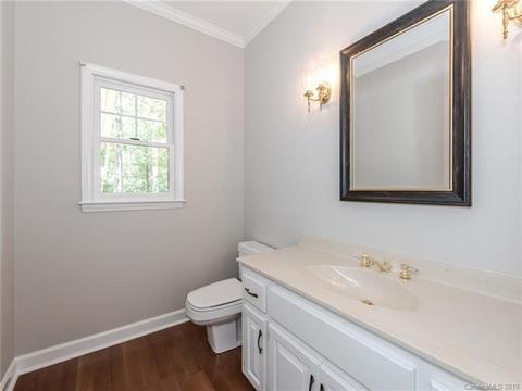 299 S Downs Way, Fort Mill, SC 29708 photo 11