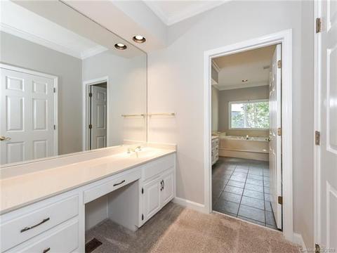 299 S Downs Way, Fort Mill, SC 29708 photo 27