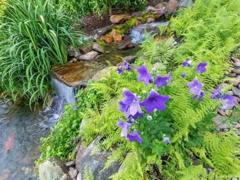 428 Devils Hole Rd, Rosman, NC 28772 photo 36
