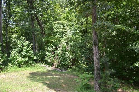 5151 Odell School Rd, Davidson, NC 28036 photo 33