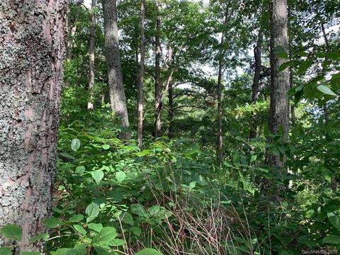 459 Sandy Flat Mountain Rd, Fletcher, NC 28732 photo 6