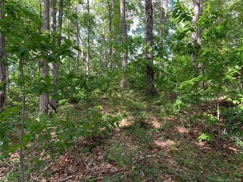 459 Sandy Flat Mountain Rd, Fletcher, NC 28732 photo 3