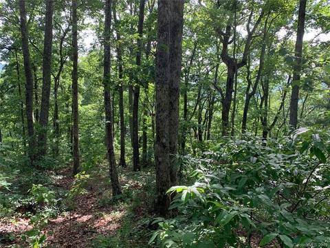 459 Sandy Flat Mountain Rd, Fletcher, NC 28732 photo 5
