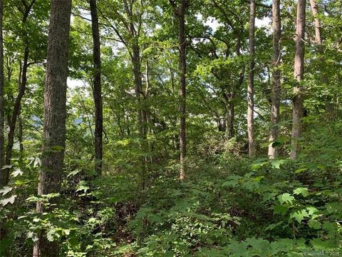 459 Sandy Flat Mountain Rd, Fletcher, NC 28732 photo 4