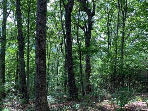 459 Sandy Flat Mountain Rd, Fletcher, NC 28732 photo 2