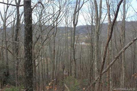 459 Sandy Flat Mountain Rd, Fletcher, NC 28732 photo 16