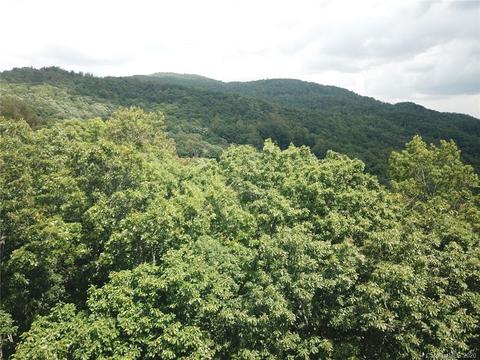 459 Sandy Flat Mountain Rd, Fletcher, NC 28732 photo 1