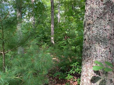 459 Sandy Flat Mountain Rd, Fletcher, NC 28732 photo 7