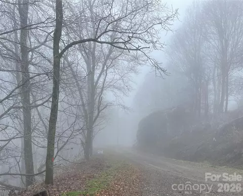 Ridge Top Circle, Clyde, NC 28721 photo 18