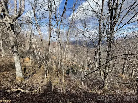 Ridge Top Circle, Clyde, NC 28721 photo 33