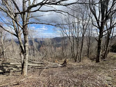 Ridge Top Circle, Clyde, NC 28721