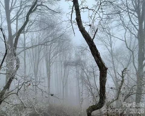 Ridge Top Circle, Clyde, NC 28721 photo 19