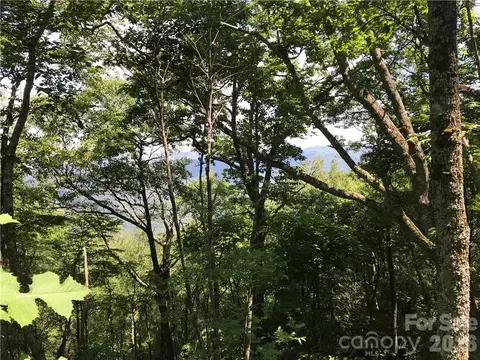 Ridge Top Circle, Clyde, NC 28721 photo 9