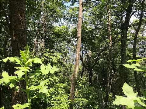 Ridge Top Circle, Clyde, NC 28721 photo 10