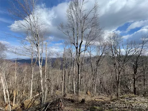 Ridge Top Circle, Clyde, NC 28721 photo 3