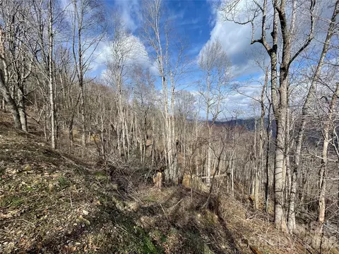 Ridge Top Circle, Clyde, NC 28721 photo 30