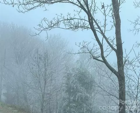 Ridge Top Circle, Clyde, NC 28721 photo 17