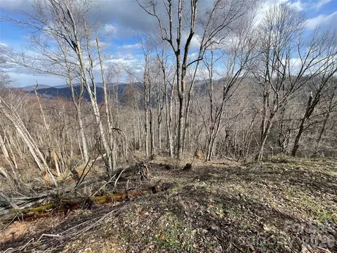 Ridge Top Circle, Clyde, NC 28721 photo 32