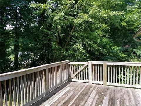 51 Doubleday Rd, Tryon, NC 28782 photo 19