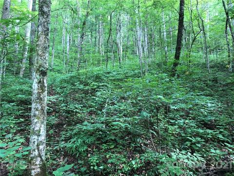 43 Cougar Mountain Rd, Fairview, NC 28730