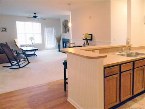 18711 Ruffner Dr #1C, Cornelius, NC 28031 photo 6